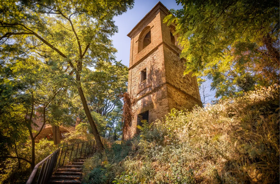 Bologna